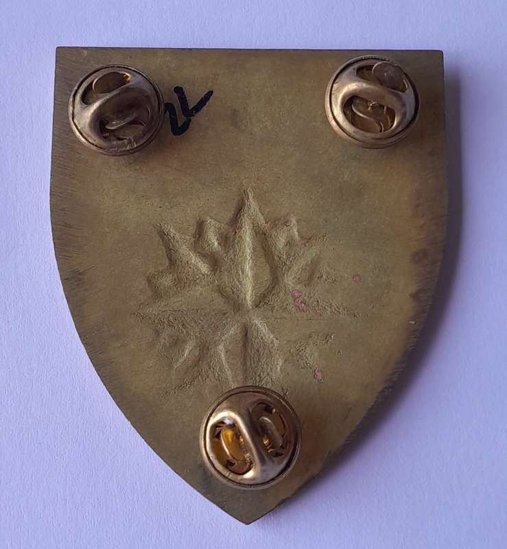 SADF 1 Special Forces Regiment Shoulder Flash.  All Pins Intact.