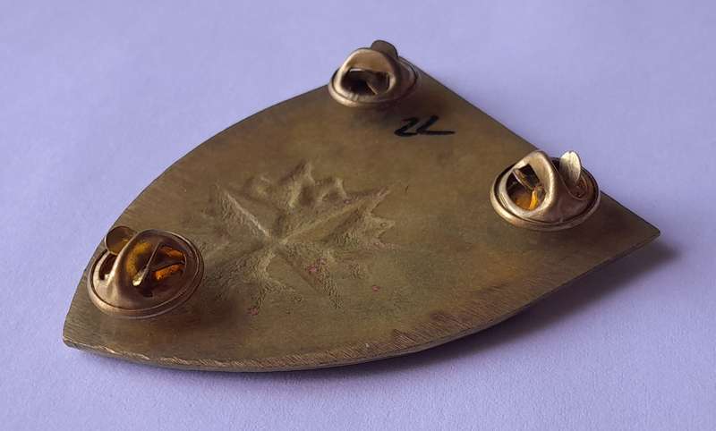SADF 1 Special Forces Regiment Shoulder Flash.  All Pins Intact.