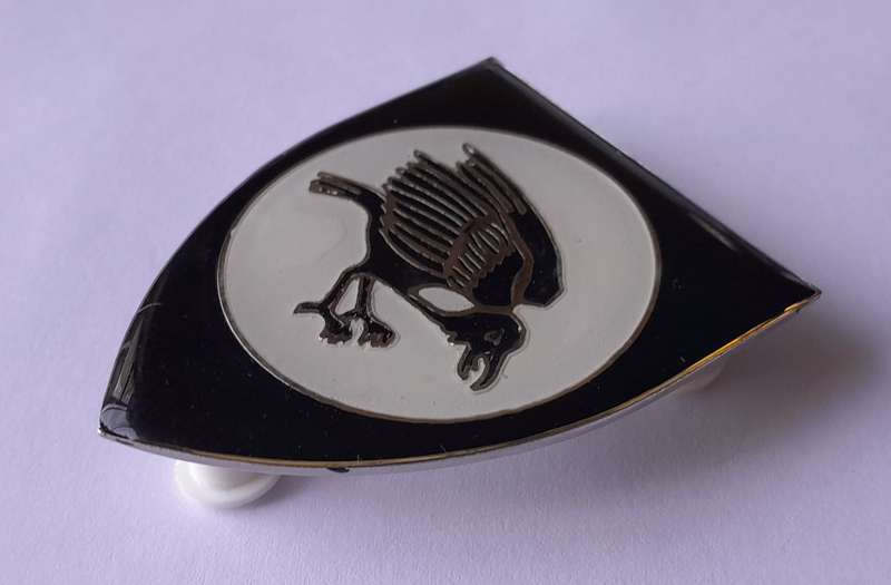 SADF 31/201 Battalion Shoulder Flash.  All Pins Intact.