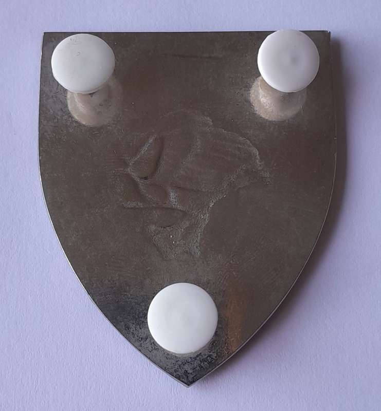 SADF 31/201 Battalion Shoulder Flash.  All Pins Intact.