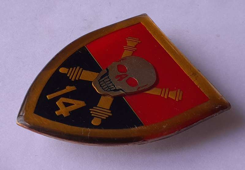 "Reserved" SADF 14 Field Artillery Regiment Should Flash.  All Pins Intact.
