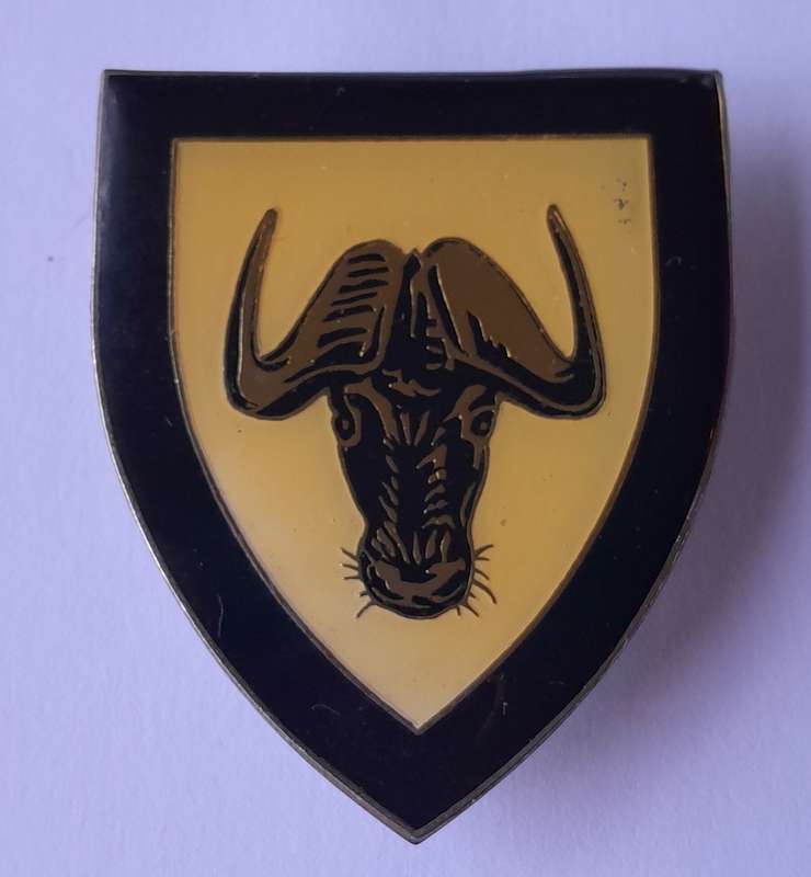 SADF Regiment Port Natal Shoulder Flash.  All Pins Intact.