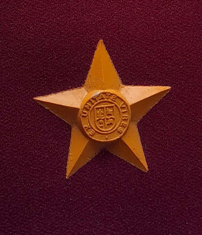 SADF SAMS 2nd Lieutenant Rank Epaulette.