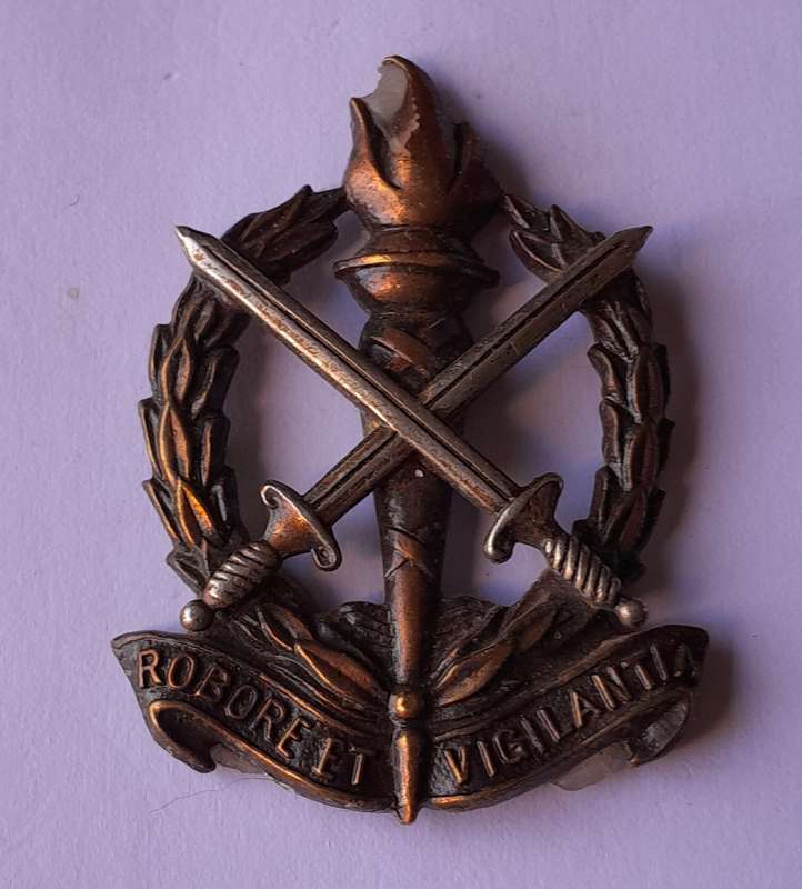 SADF Regiment Schoonspruit Beret Badge.  No Lugs.