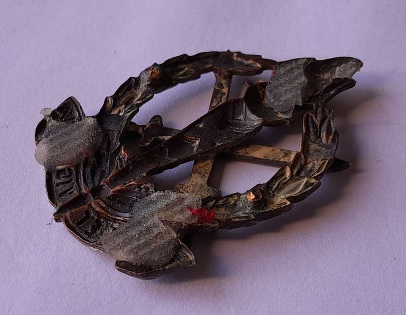 SADF Regiment Schoonspruit Beret Badge.  No Lugs.