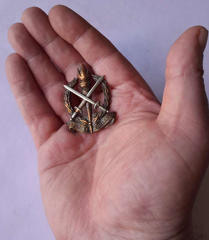 SADF Regiment Schoonspruit Beret Badge.  No Lugs.