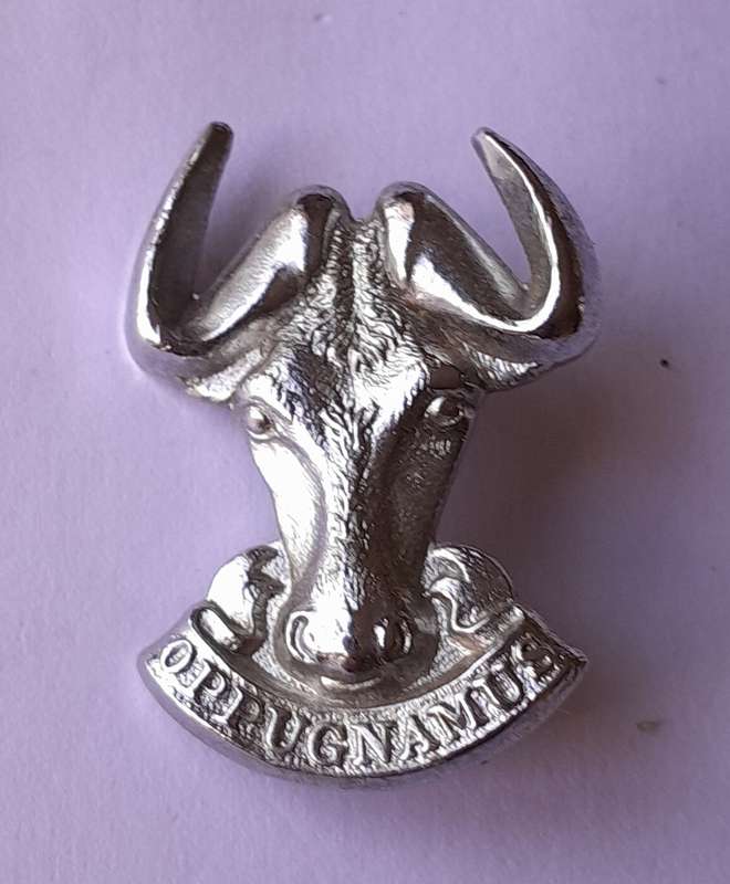 SADF Regiment Port Natal Badge.  Pins Intact.