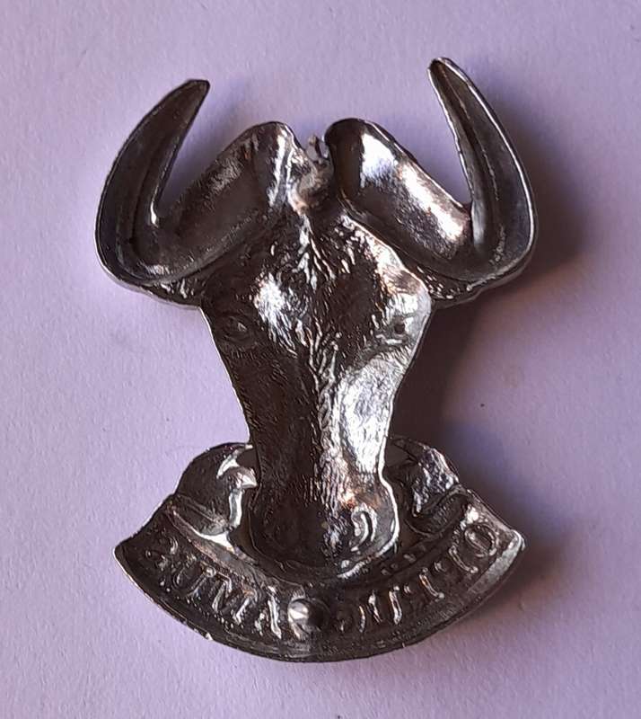 SADF Regiment Port Natal Badge.  Pins Intact.