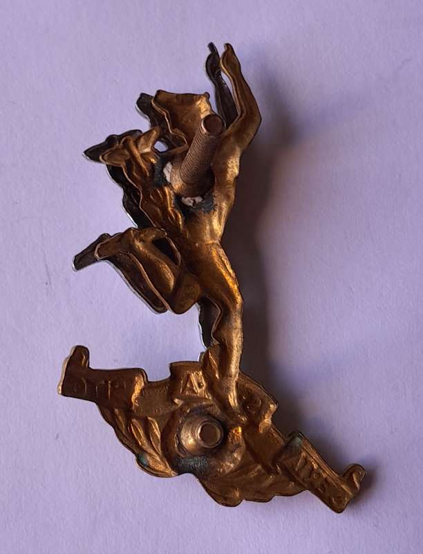 SA Army Signal Corps Bi-Metal Beret Badge.  Lugs Intact.