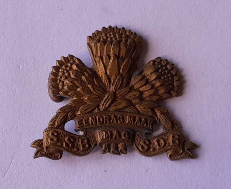SA Army Special Services Battalion Badge.  1 Flattened Lug.
