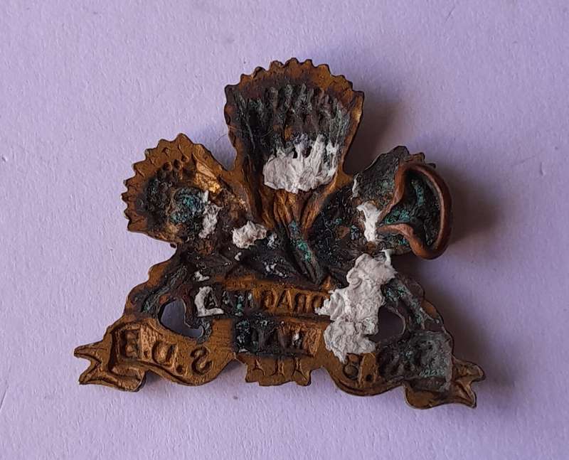 SA Army Special Services Battalion Badge.  1 Flattened Lug.