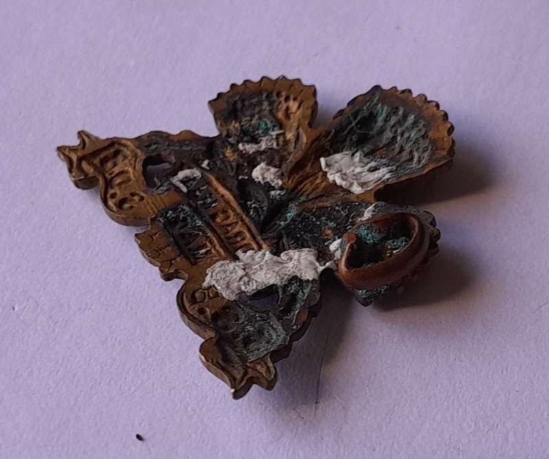 SA Army Special Services Battalion Badge.  1 Flattened Lug.