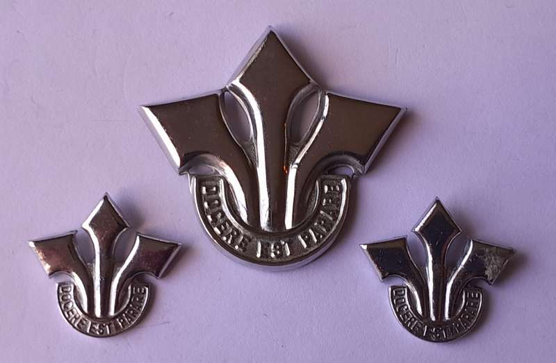 South African Army Corps of Professional Officers Badge Set. No Lugs / Pins.