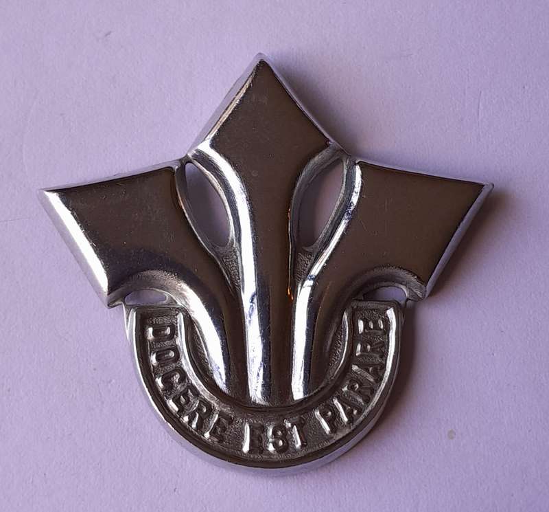 South African Army Corps of Professional Officers Badge Set. No Lugs / Pins.