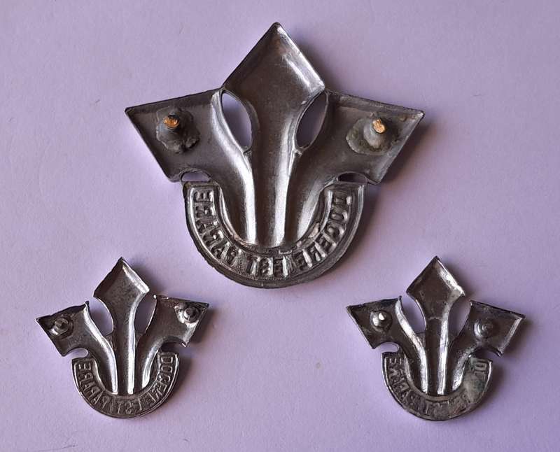 South African Army Corps of Professional Officers Badge Set. No Lugs / Pins.