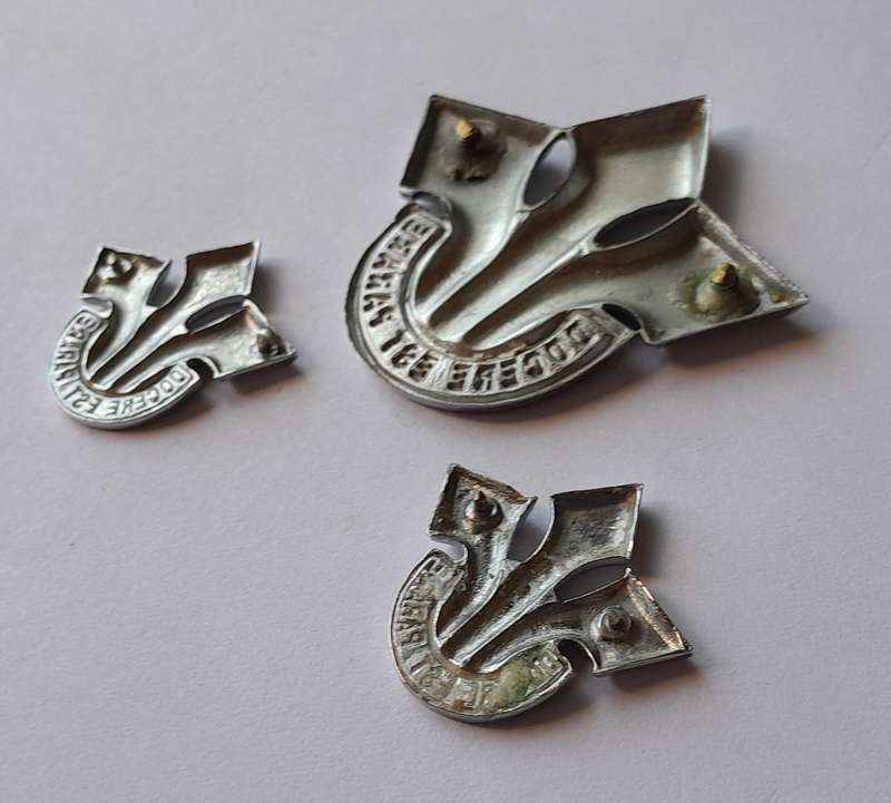 South African Army Corps of Professional Officers Badge Set. No Lugs / Pins.