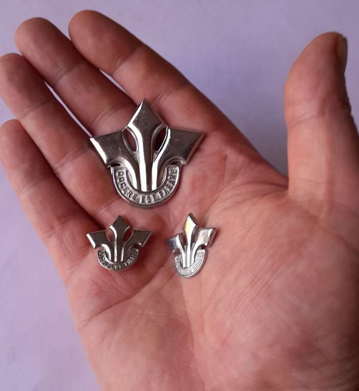 South African Army Corps of Professional Officers Badge Set. No Lugs / Pins.