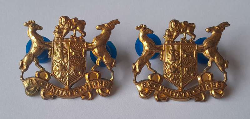 Pair SADF Sergeant Major Class 2 Gilt Badges. All Pins Intact.