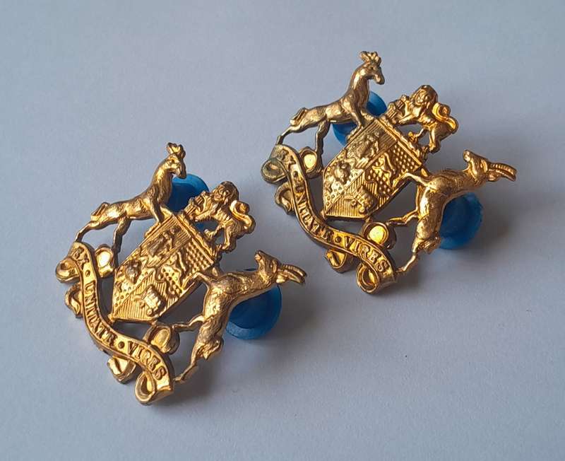 Pair SADF Sergeant Major Class 2 Gilt Badges. All Pins Intact.