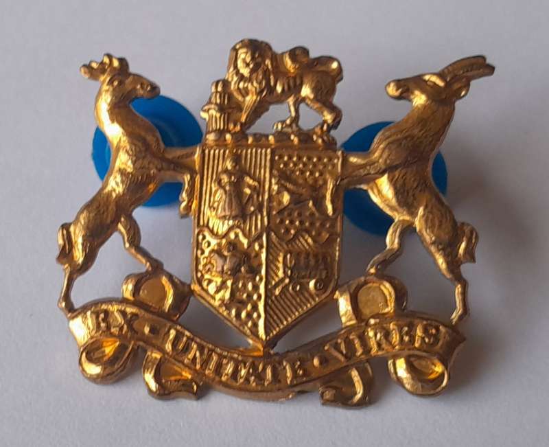 Pair SADF Sergeant Major Class 2 Gilt Badges. All Pins Intact.