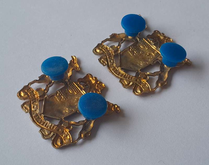 Pair SADF Sergeant Major Class 2 Gilt Badges. All Pins Intact.