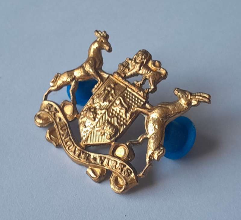 SADF Sergeant Major Class 2 Gilt Badge. All Pins Intact.