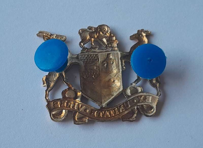 SADF Sergeant Major Class 2 Gilt Badge. All Pins Intact.