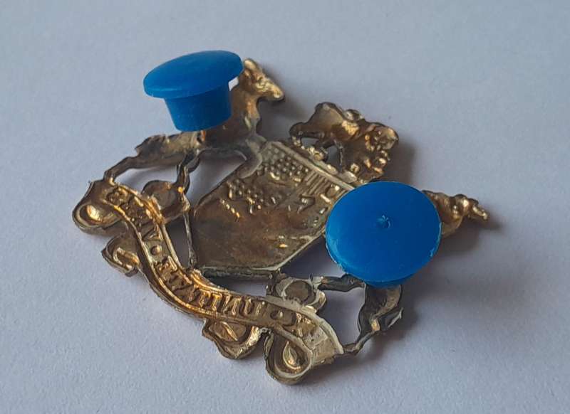 SADF Sergeant Major Class 2 Gilt Badge. All Pins Intact.