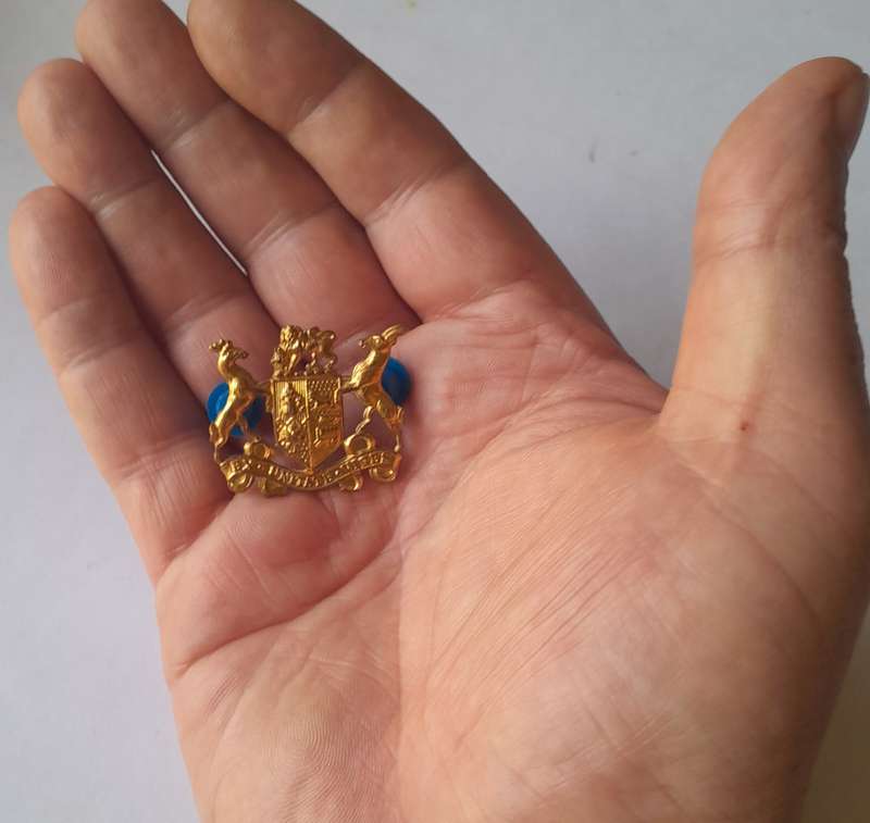 SADF Sergeant Major Class 2 Gilt Badge. All Pins Intact.