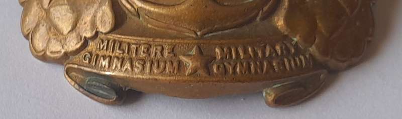 Early SADF Military Gymnasium Cap Badge.  Lugs Intact.
