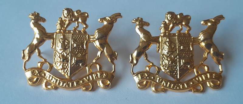 Pair SADF Sergeant Major Class 2 Gilt Badge.  All Pins Intact.