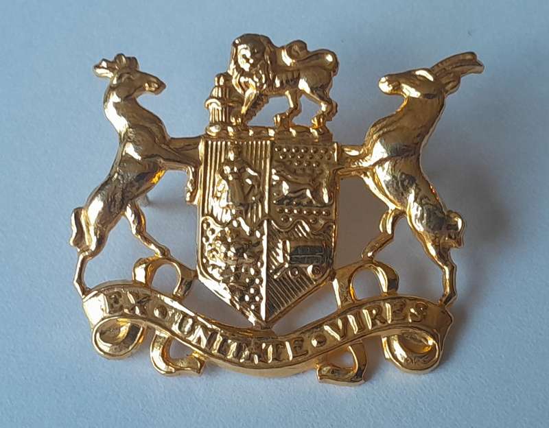 Pair SADF Sergeant Major Class 2 Gilt Badge.  All Pins Intact.