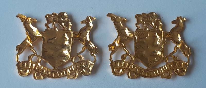 Pair SADF Sergeant Major Class 2 Gilt Badge.  All Pins Intact.