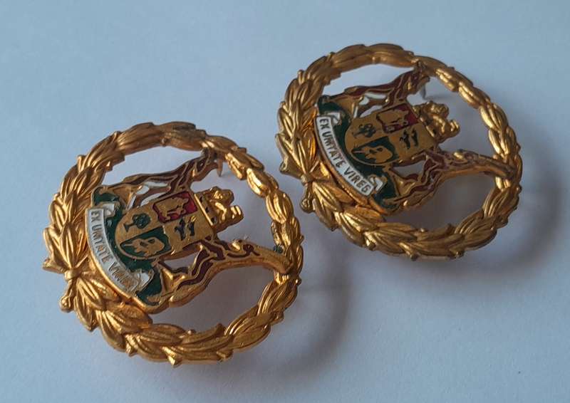 Pair SA Police Warrant Officer Enameled Gilt Badges.  All Pins Intact.