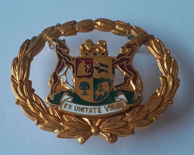 Pair SA Police Warrant Officer Enameled Gilt Badges.  All Pins Intact.