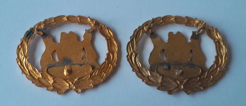 Pair SA Police Warrant Officer Enameled Gilt Badges.  All Pins Intact.
