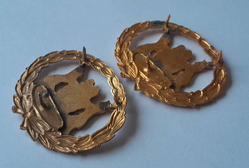 Pair SA Police Warrant Officer Enameled Gilt Badges.  All Pins Intact.