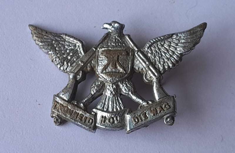 SADF Regiment De Wet Chromed Badge.  1 Pin Intact.