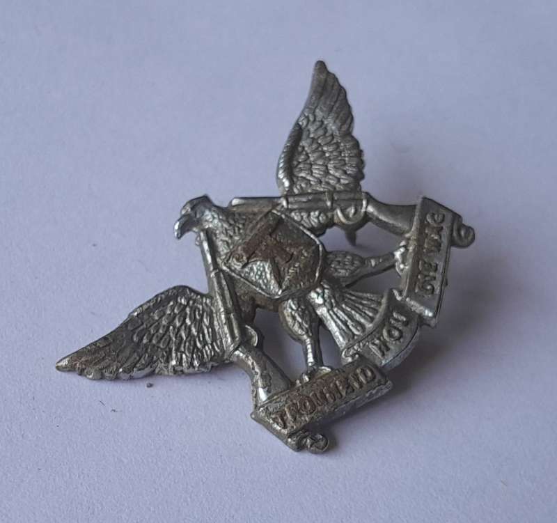 SADF Regiment De Wet Chromed Badge.  1 Pin Intact.
