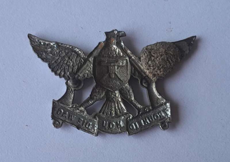 SADF Regiment De Wet Chromed Badge.  1 Pin Intact.