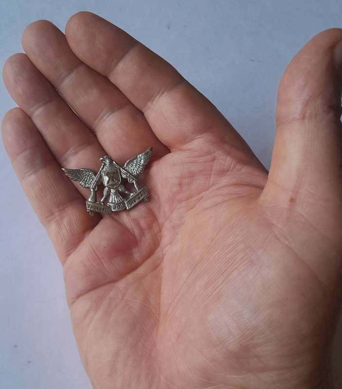 SADF Regiment De Wet Chromed Badge.  1 Pin Intact.