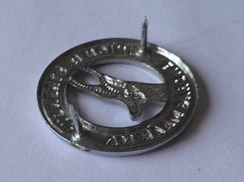 SA Army Infantry Chromed Collar Badge.  Pins Intact.