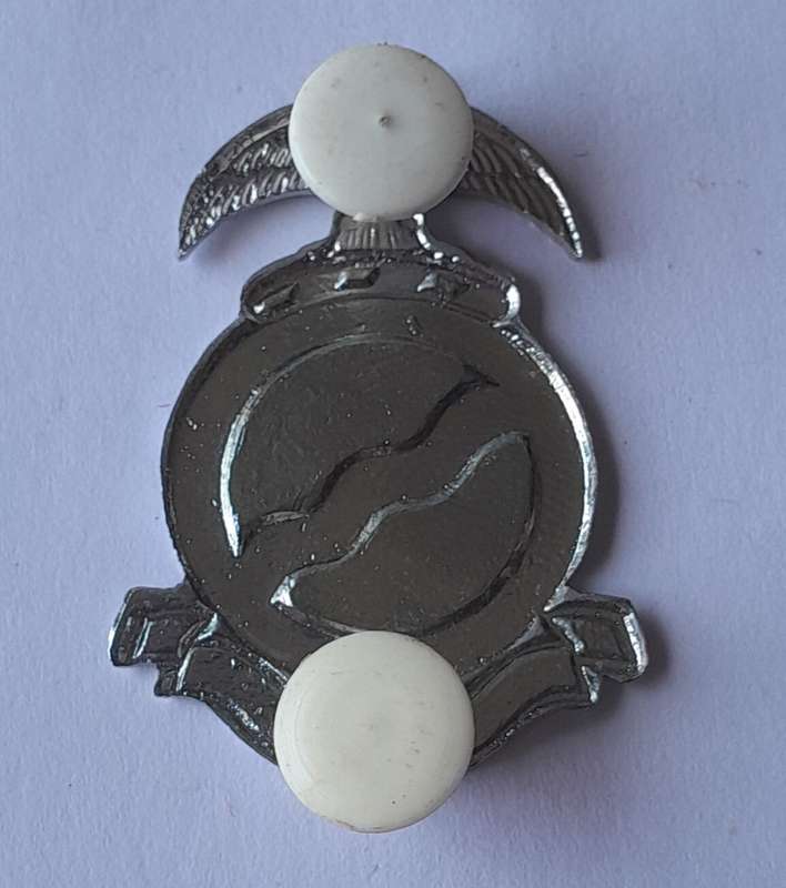 SADF Regiment Mooirivier Beret Badge.  Pins Intact.