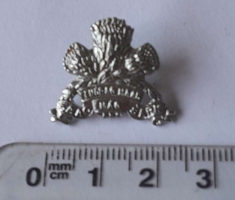 SADF Armoured Corps Chromed Collar Badge.  Pins Intact.