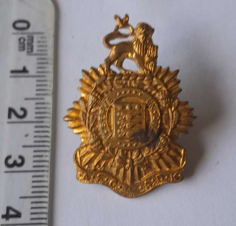 SA Army Service Corps Gilt Collar Badge.  Pins Intact.
