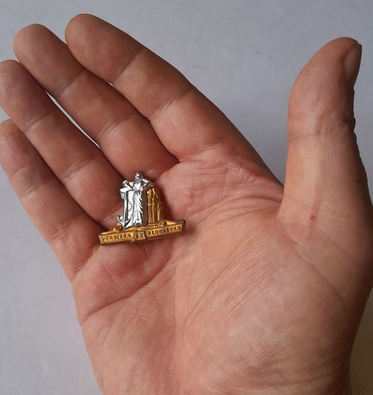 SADF Cape Corps Badge.  Pins Intact.