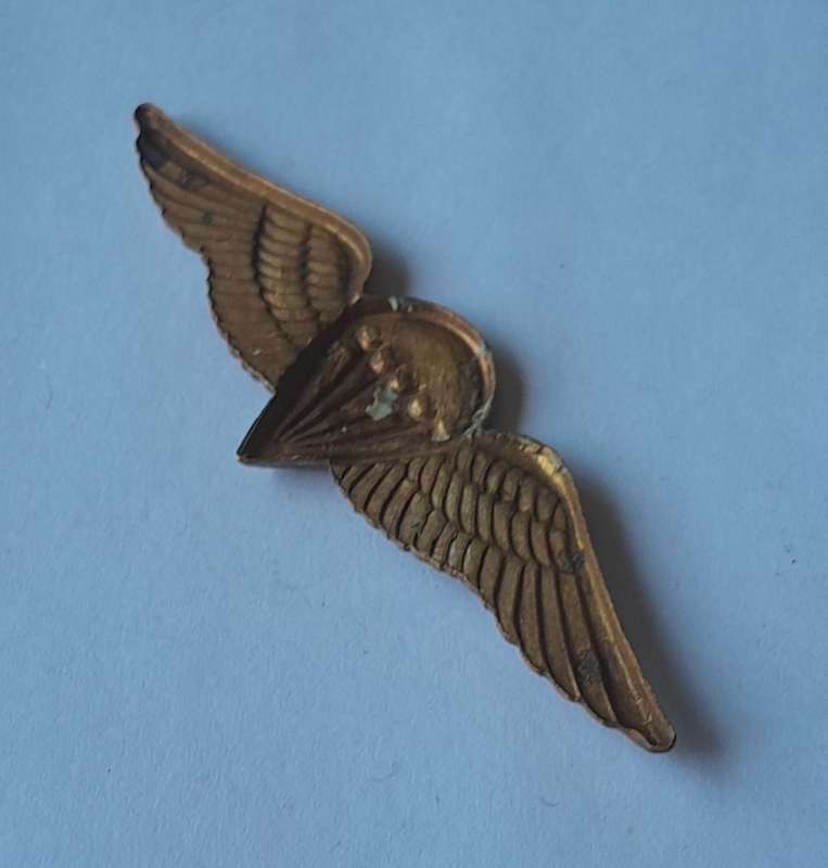 SADF Basic Paratrooper Wings Badge.  No Pins.