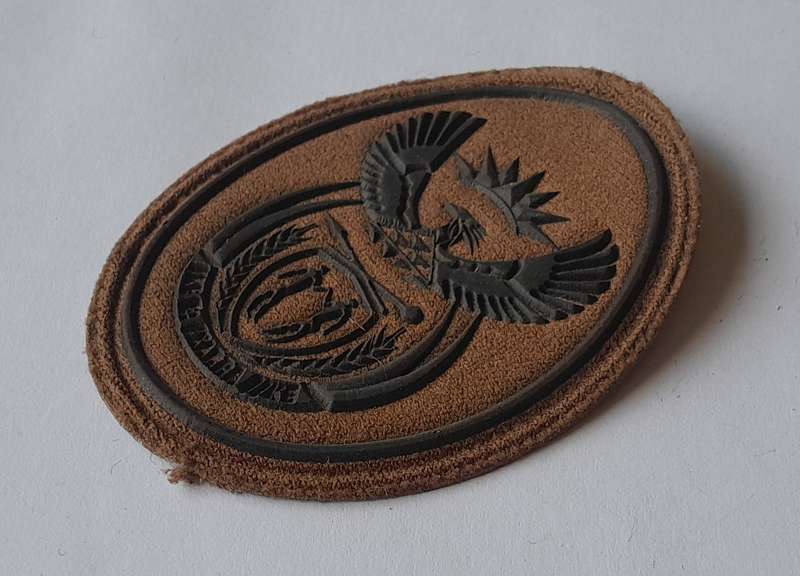 SANDF Badge.