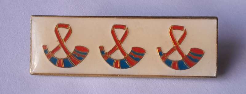 SADF Orange Free State Command Beret Bar. Pins Intact.