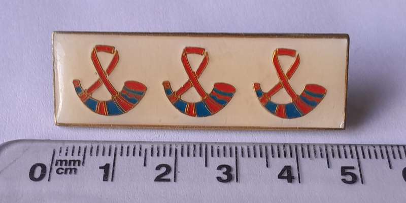 SADF Orange Free State Command Beret Bar. Pins Intact.